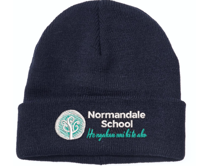 Acrylic Beanie - Navy - Kids